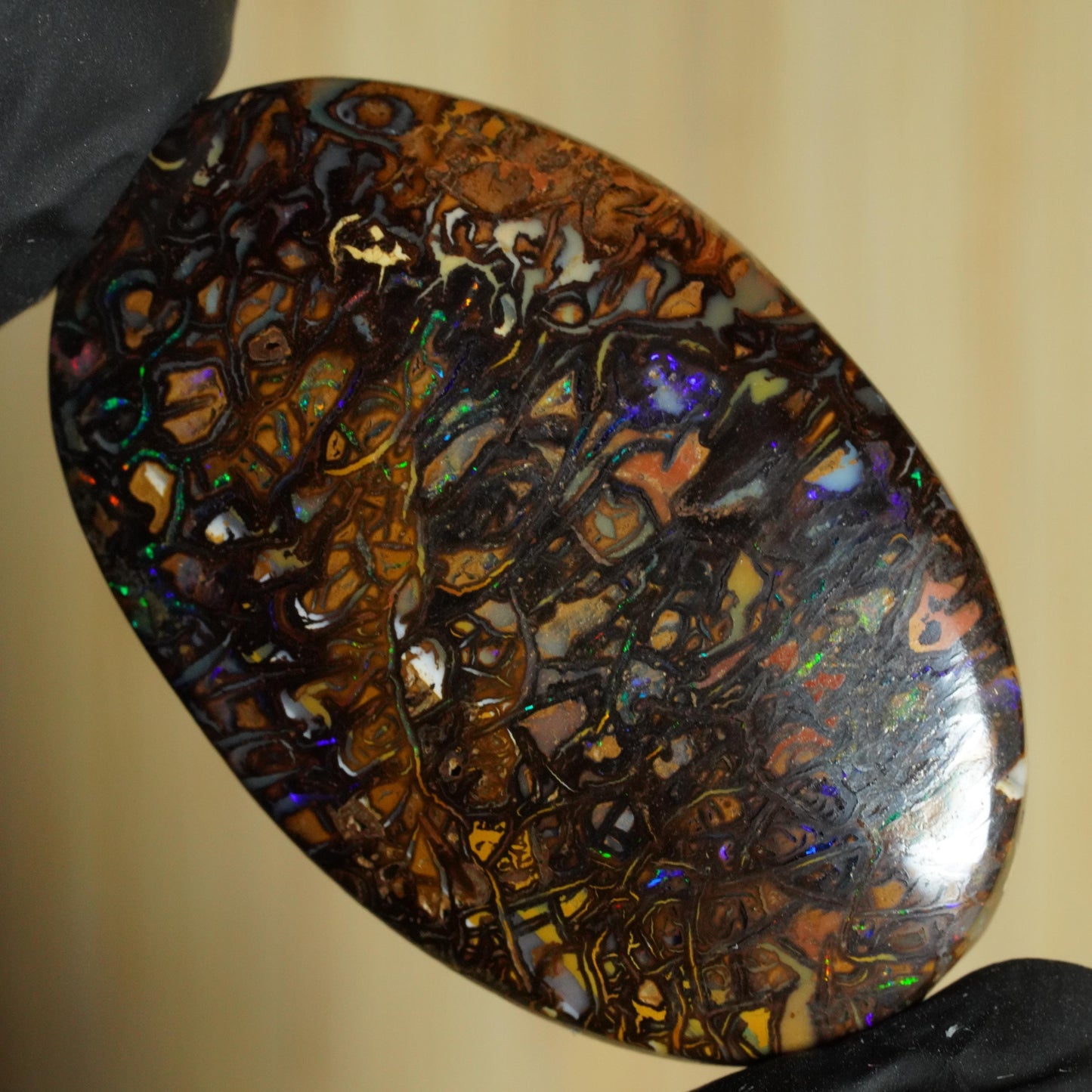 Boulder Opal Cut Stone