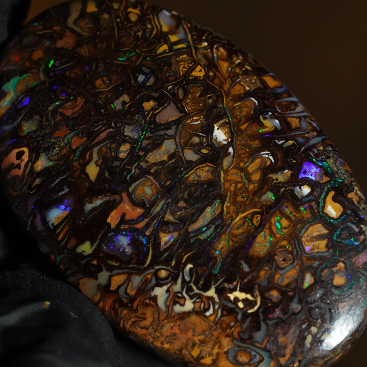 Boulder Opal Cut Stone