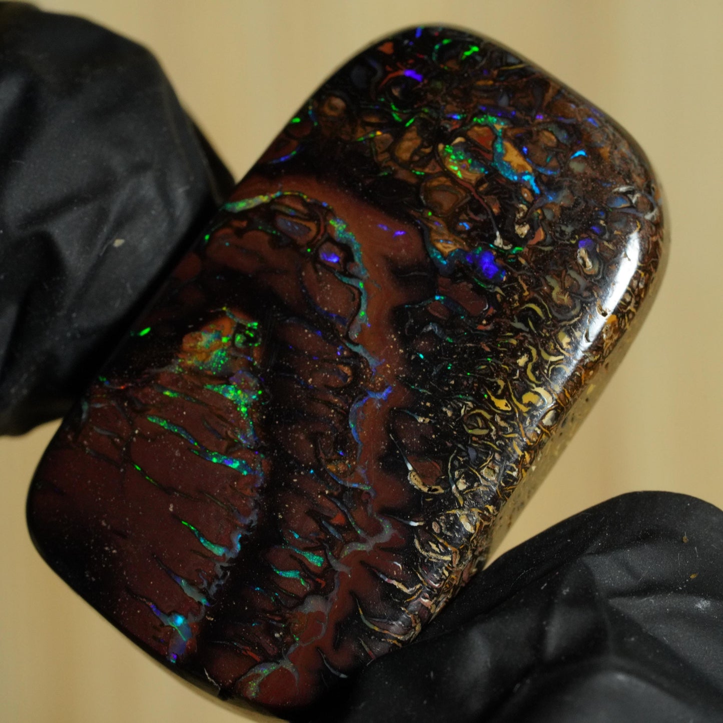 Boulder Opal Cut Stone