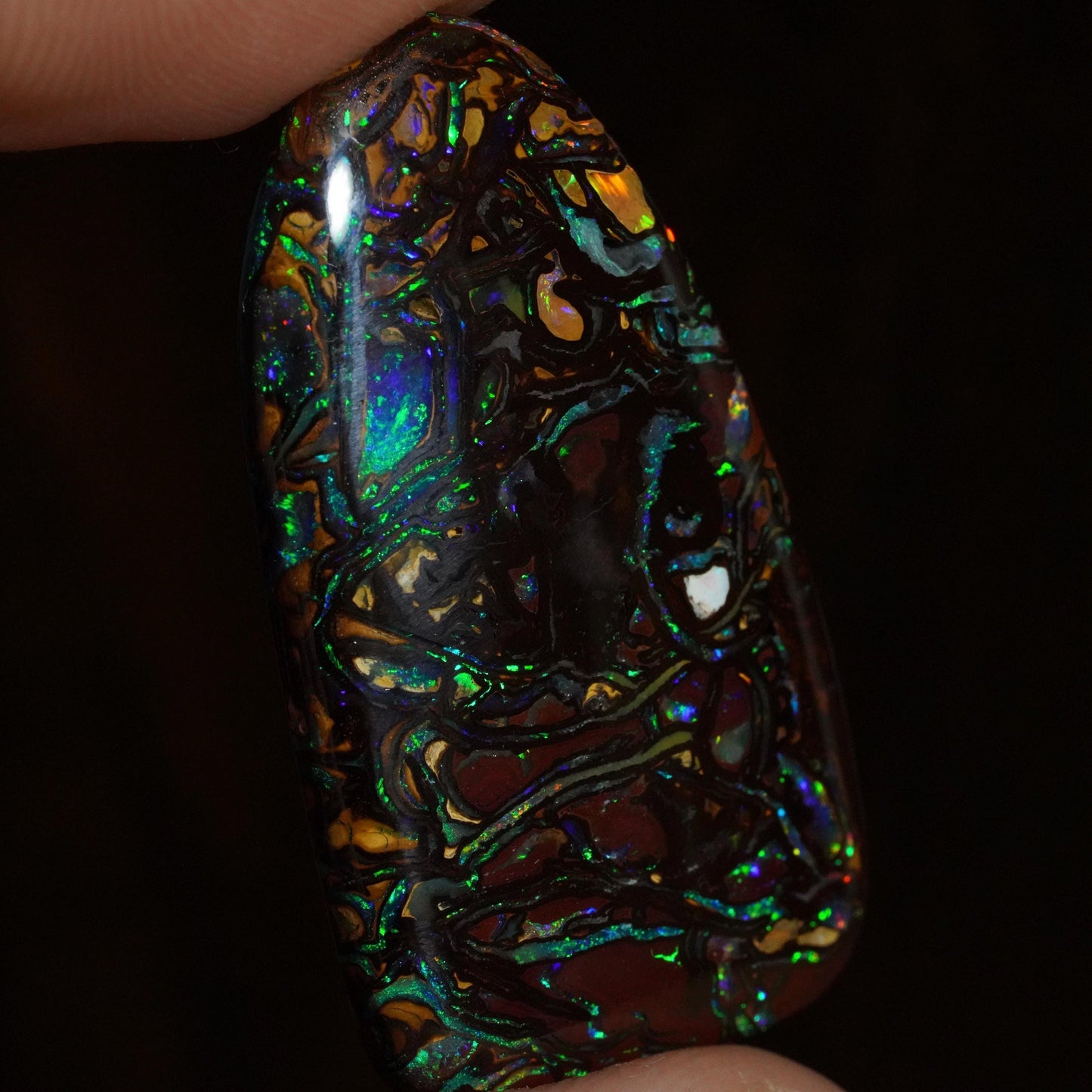 Boulder Opal Cut Stone