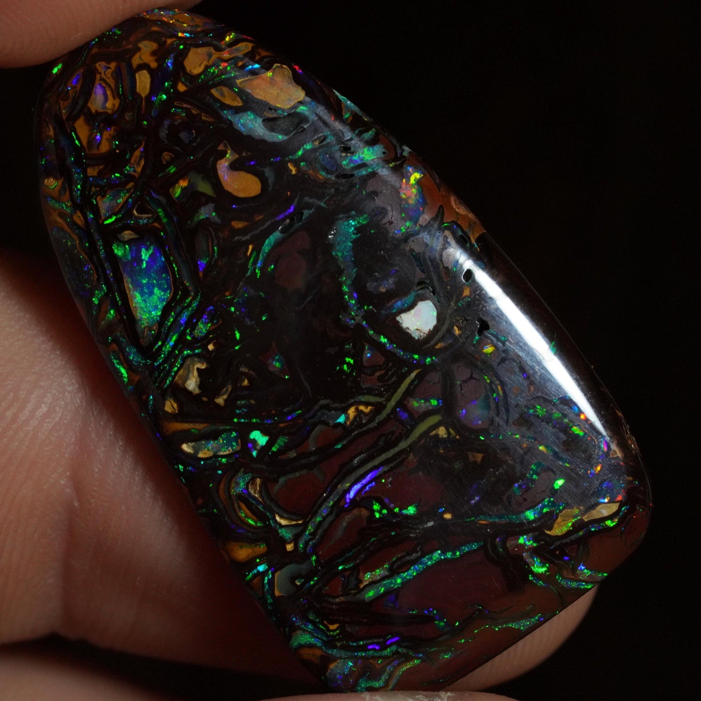 Boulder Opal Cut Stone