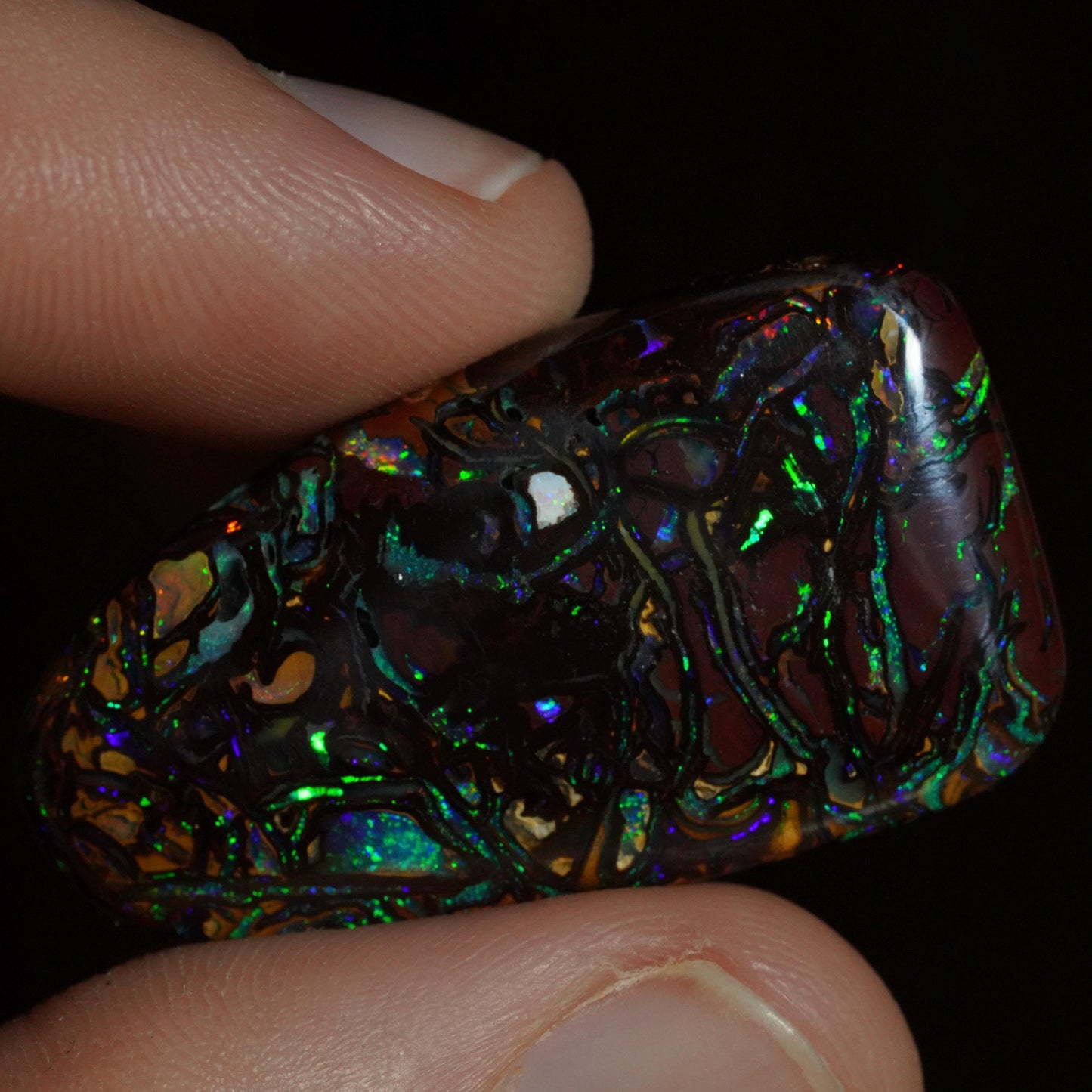 Boulder Opal Cut Stone