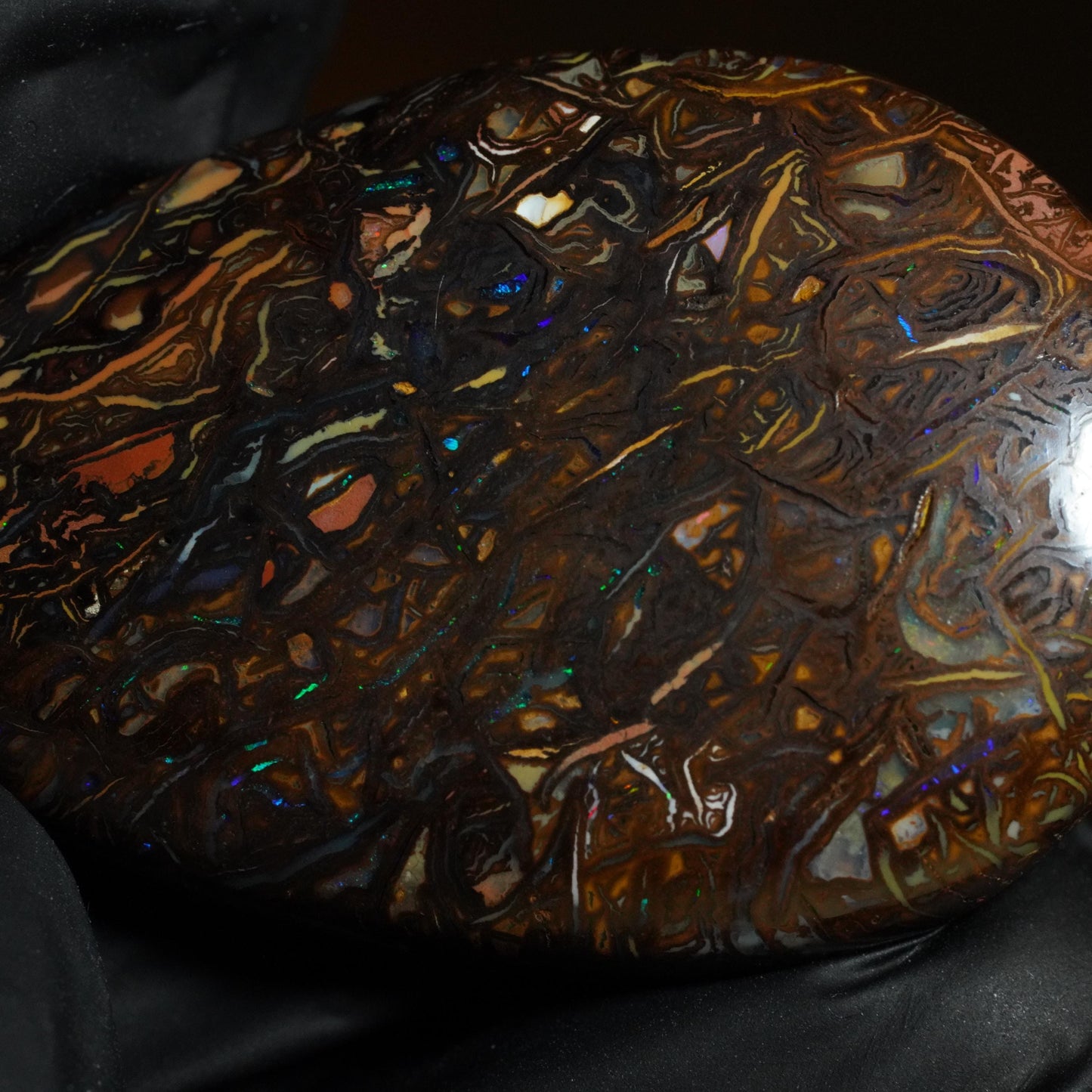 Boulder Opal Cut Stone