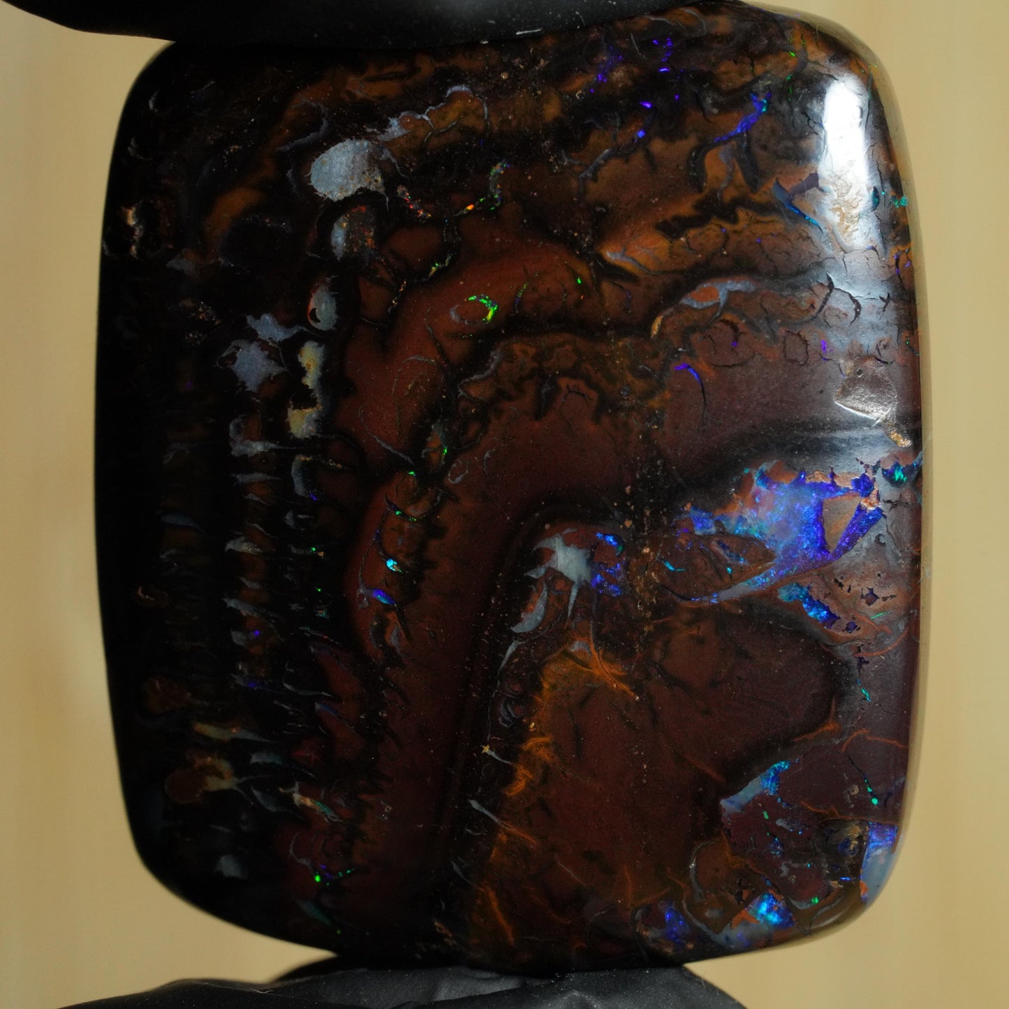 Boulder Opal Cut Stone
