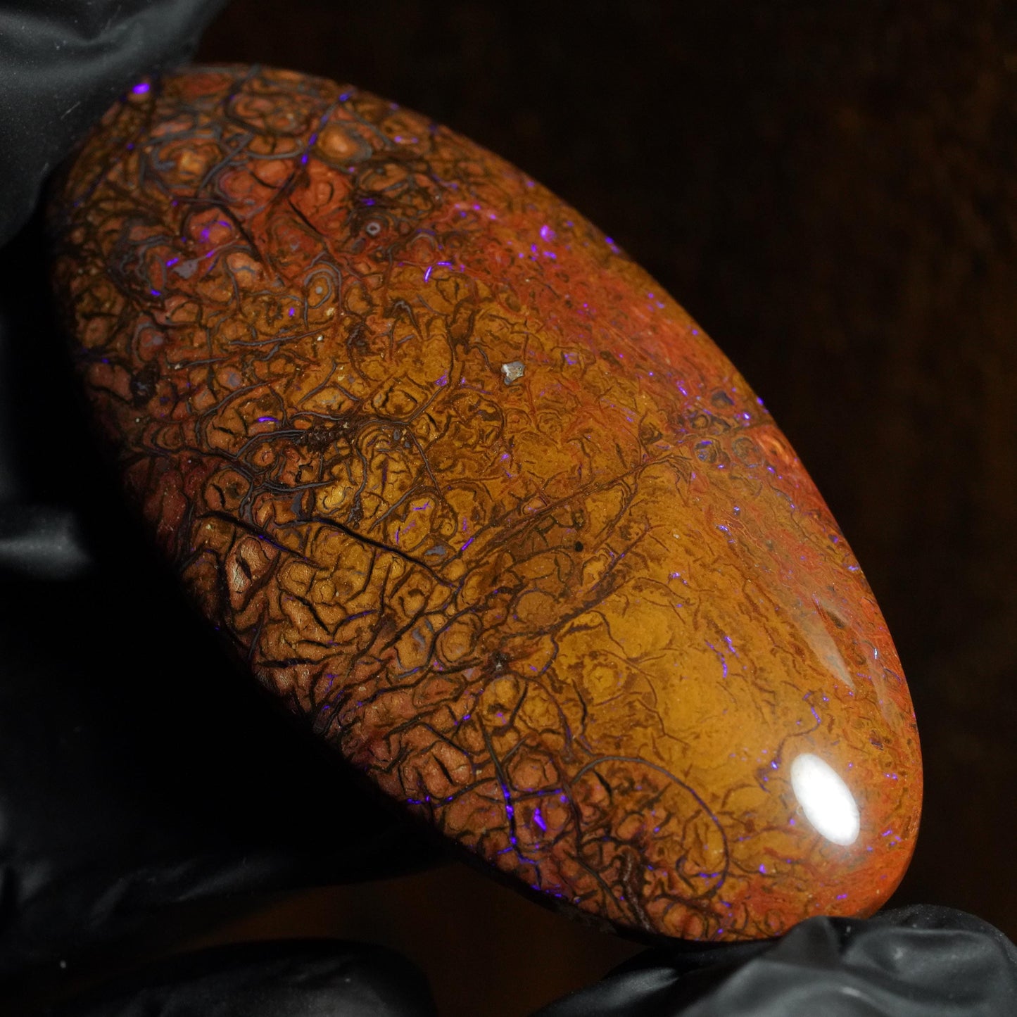 Boulder Opal Cut Stone