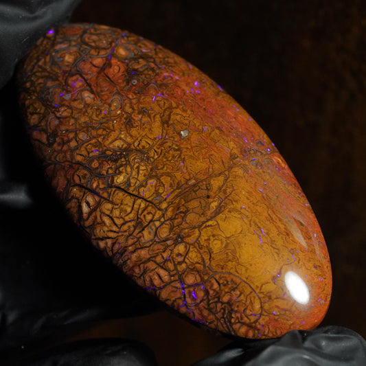 Boulder Opal Cut Stone