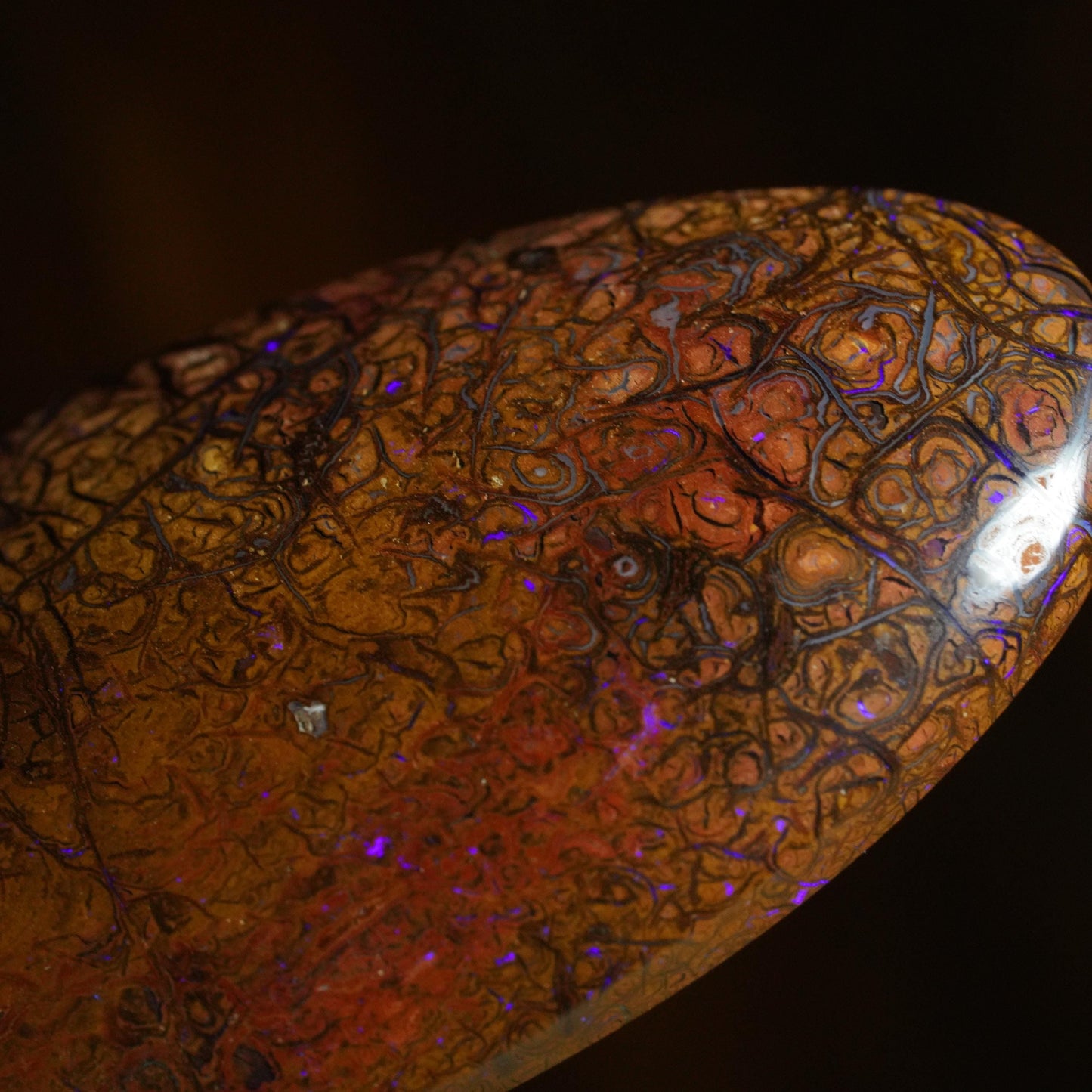 Boulder Opal Cut Stone