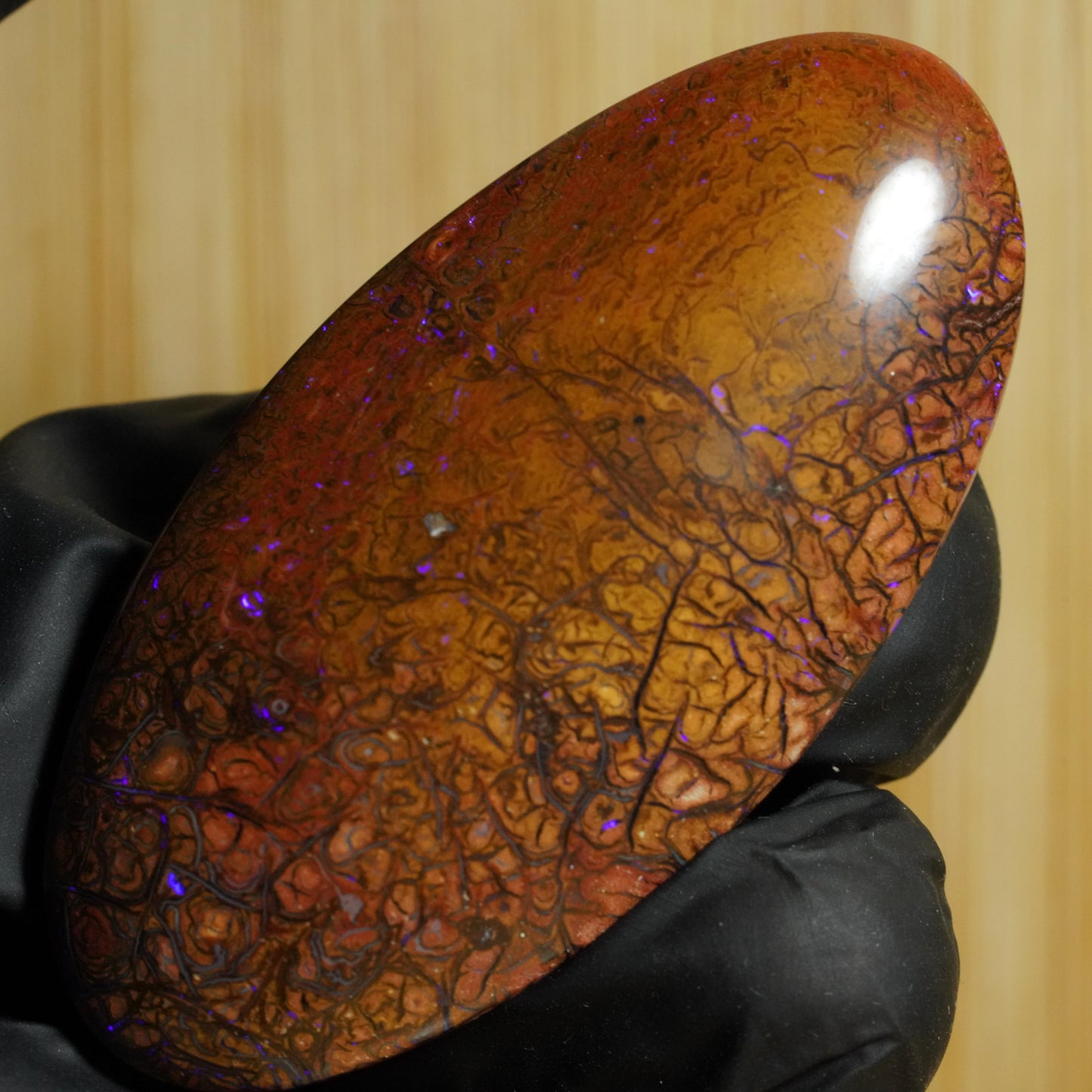 Boulder Opal Cut Stone