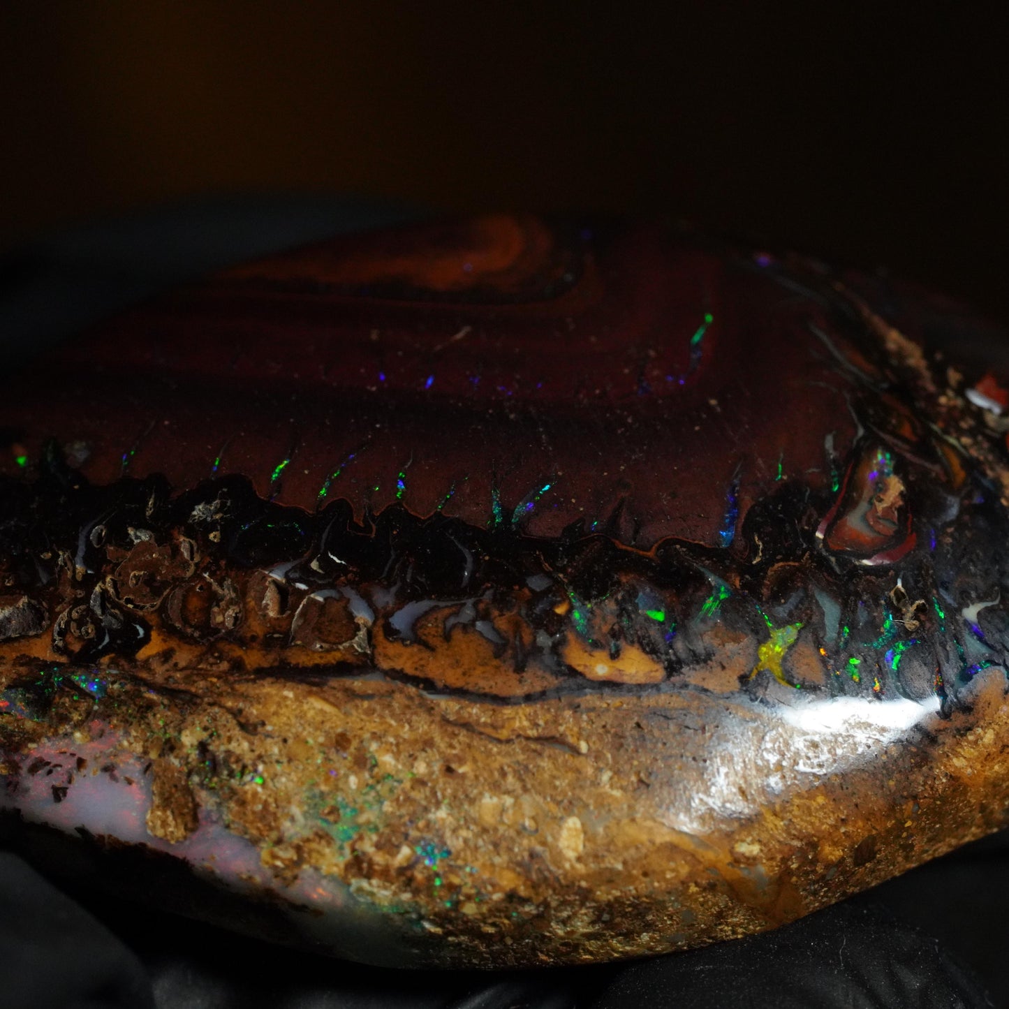 Boulder Opal Cut Stone