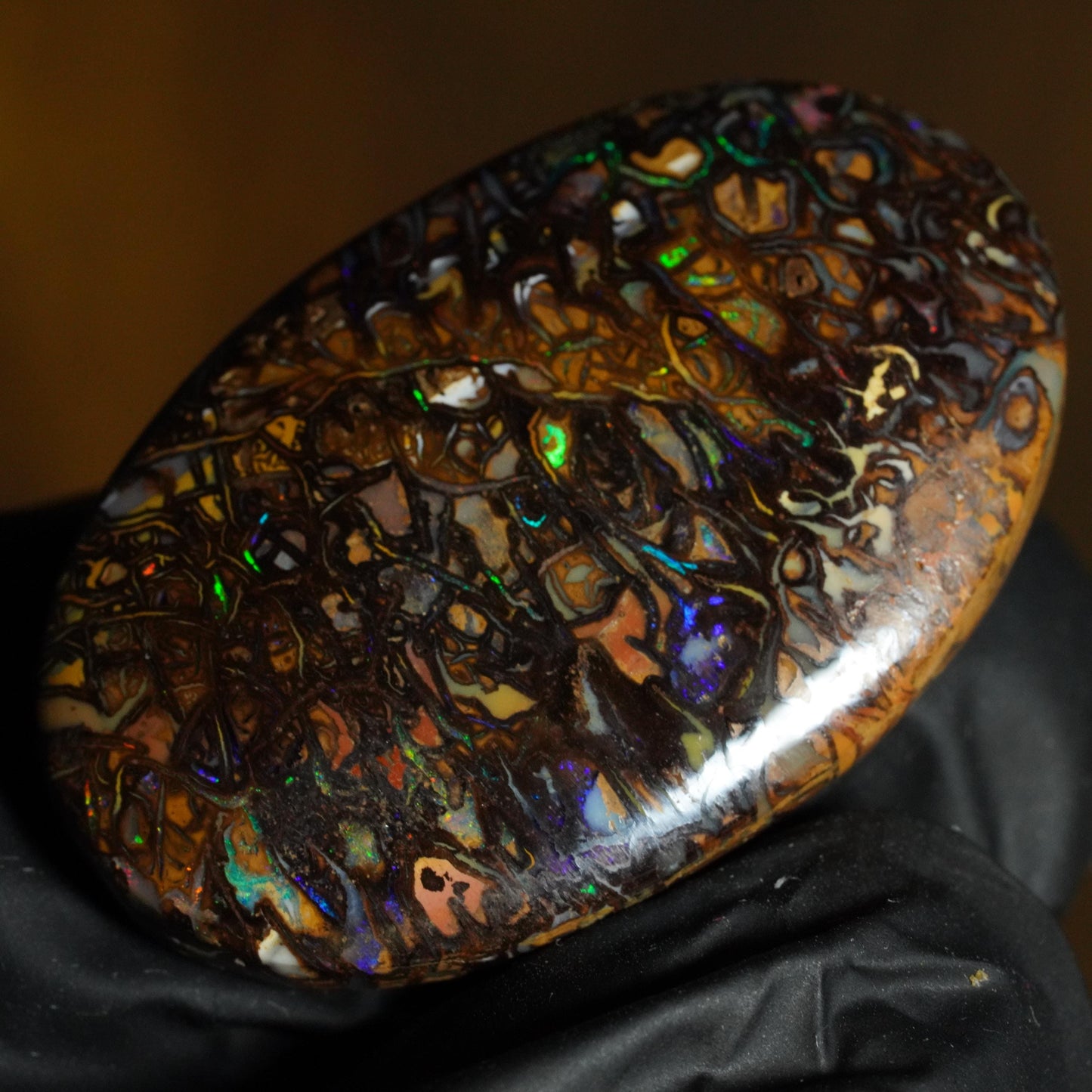 Boulder Opal Cut Stone