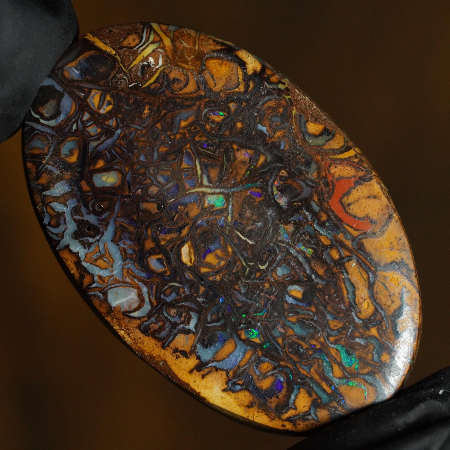 Boulder Opal Cut Stone
