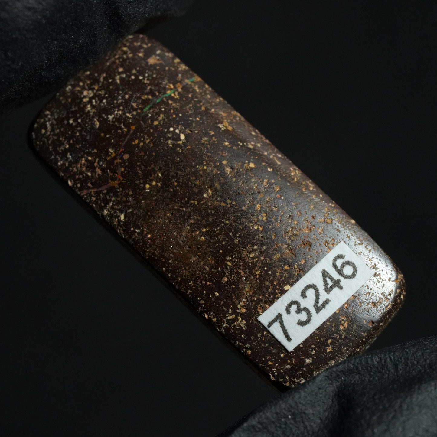 Boulder Opal Cut Stone