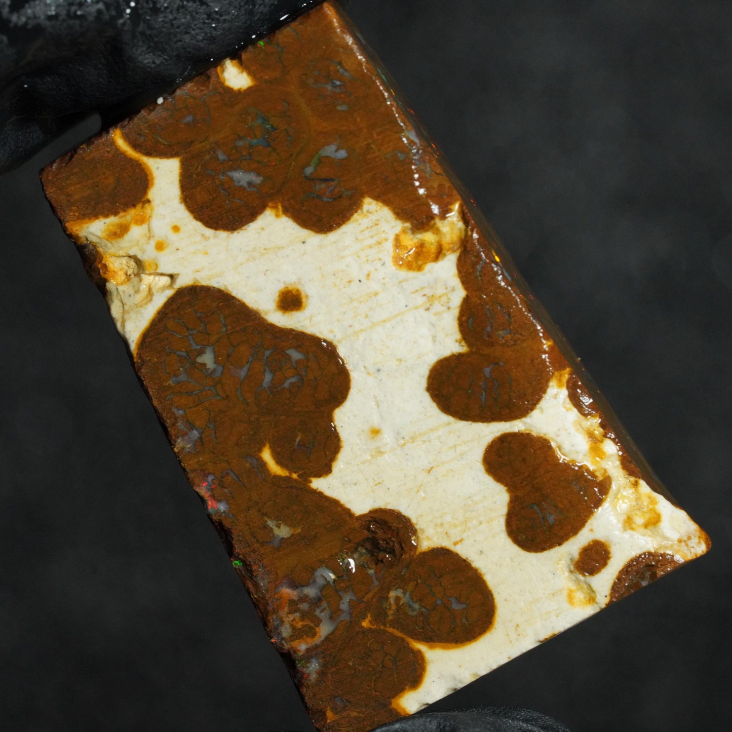 Boulder Opal Slab