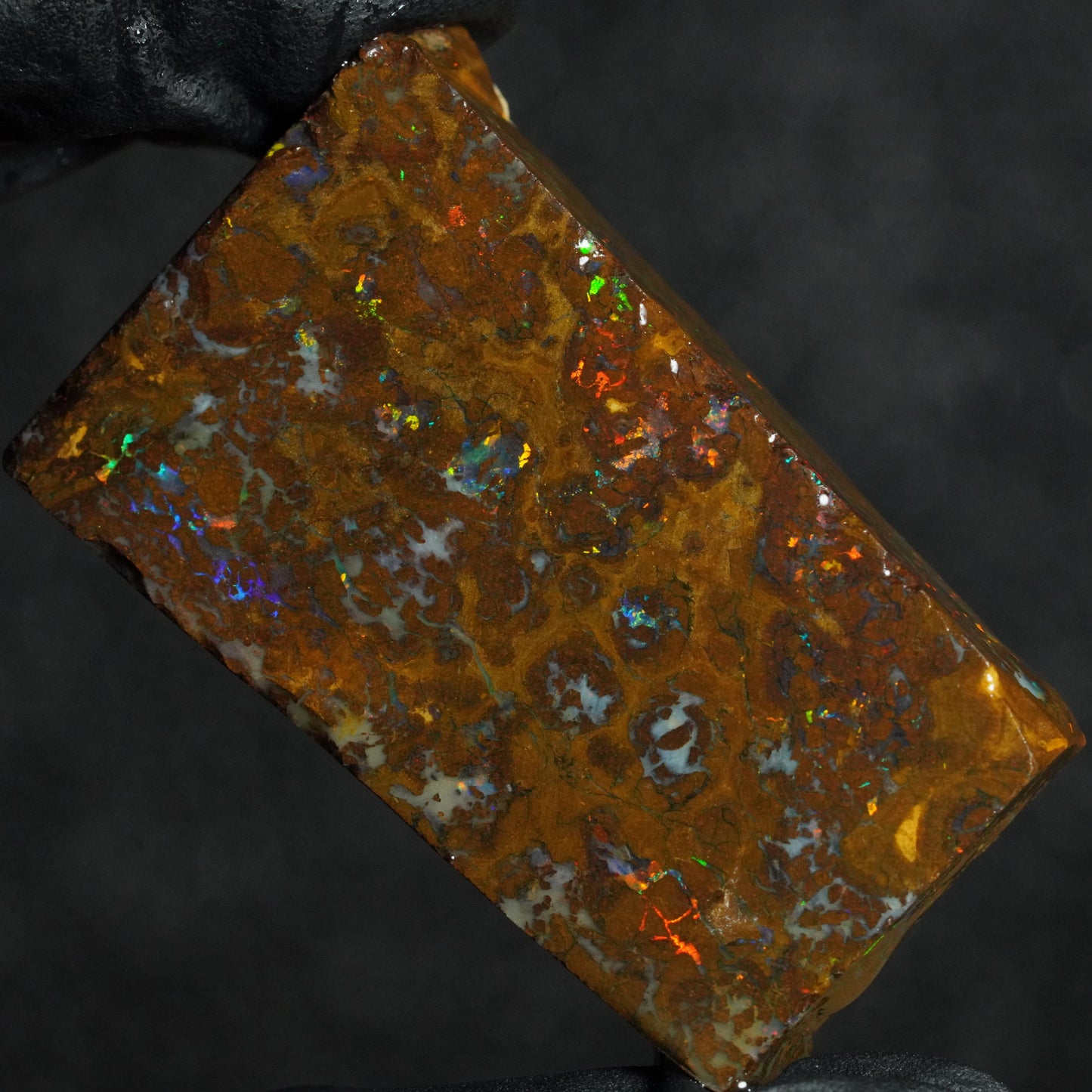 Boulder Opal Slab