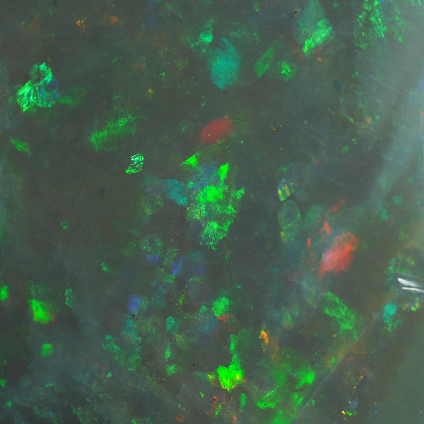 Australian Opal Mintabie Rub / Specimen