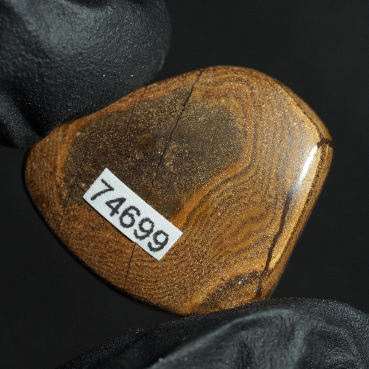 Boulder Opal Cut Stone