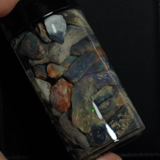 Lightning Ridge Fossil Wood / Plant Material