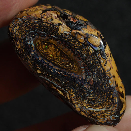 Boulder Opal Specimen