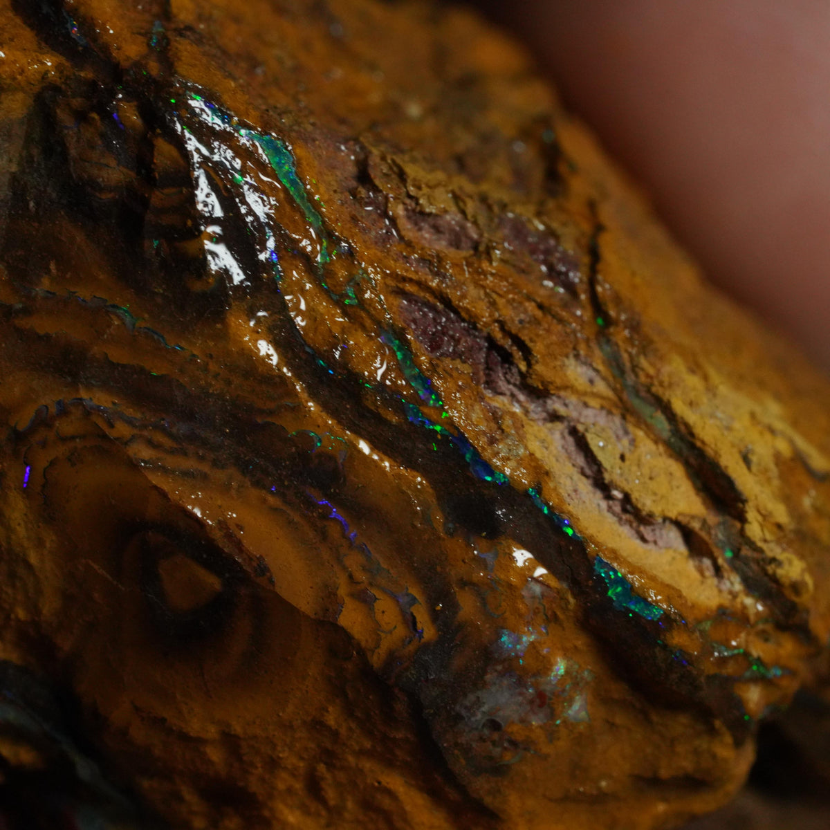 Boulder Opal Rough