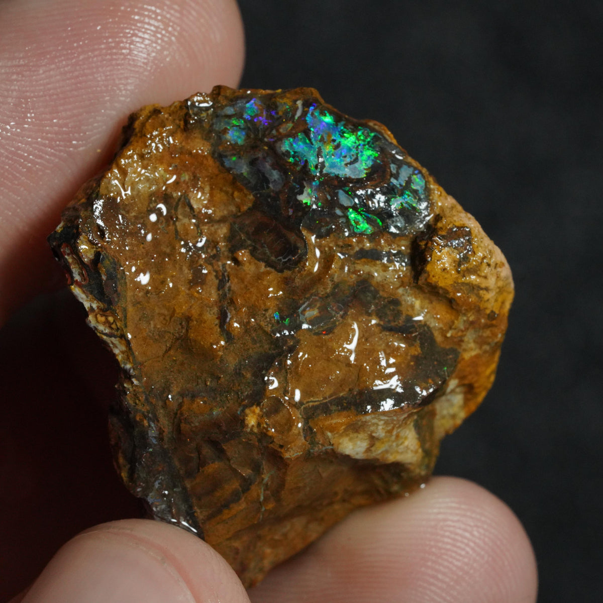 Boulder Opal Rough