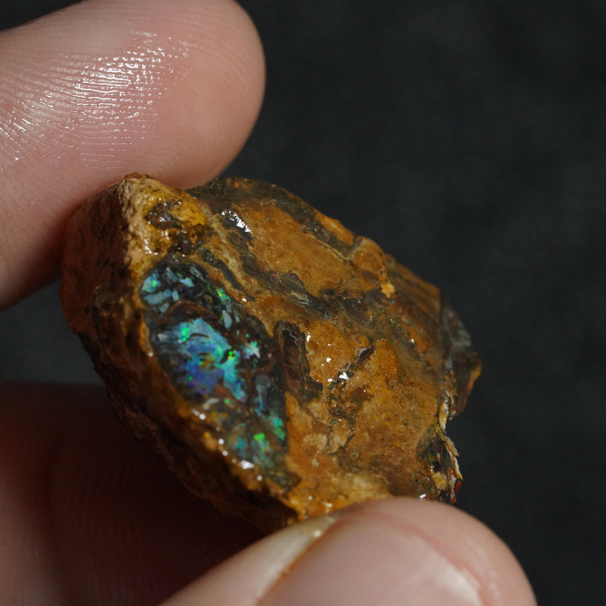 Boulder Opal Rough