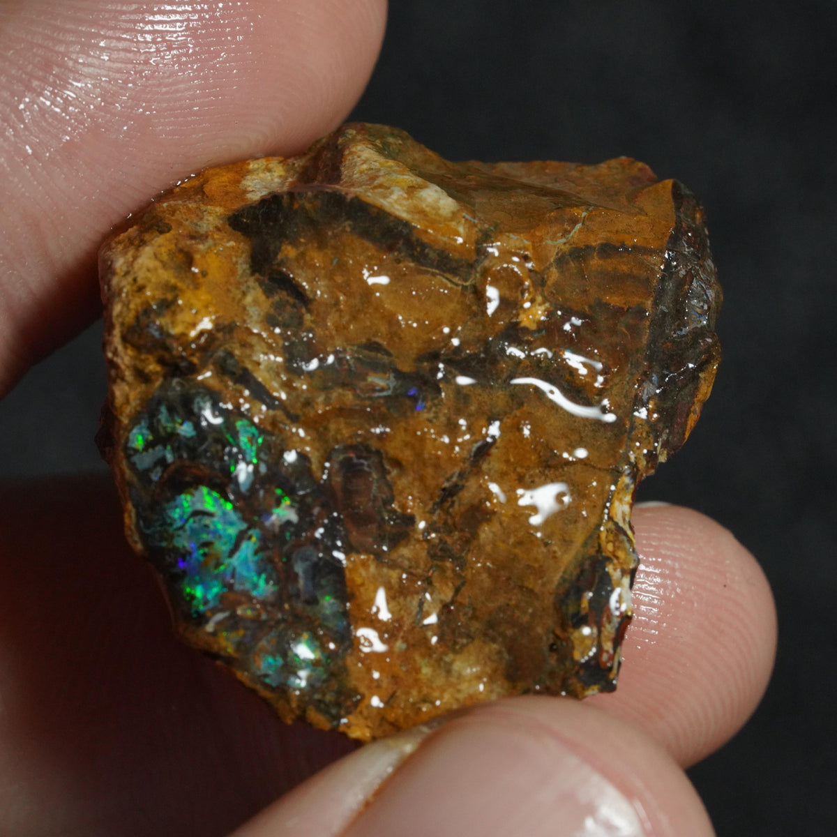 Boulder Opal Rough