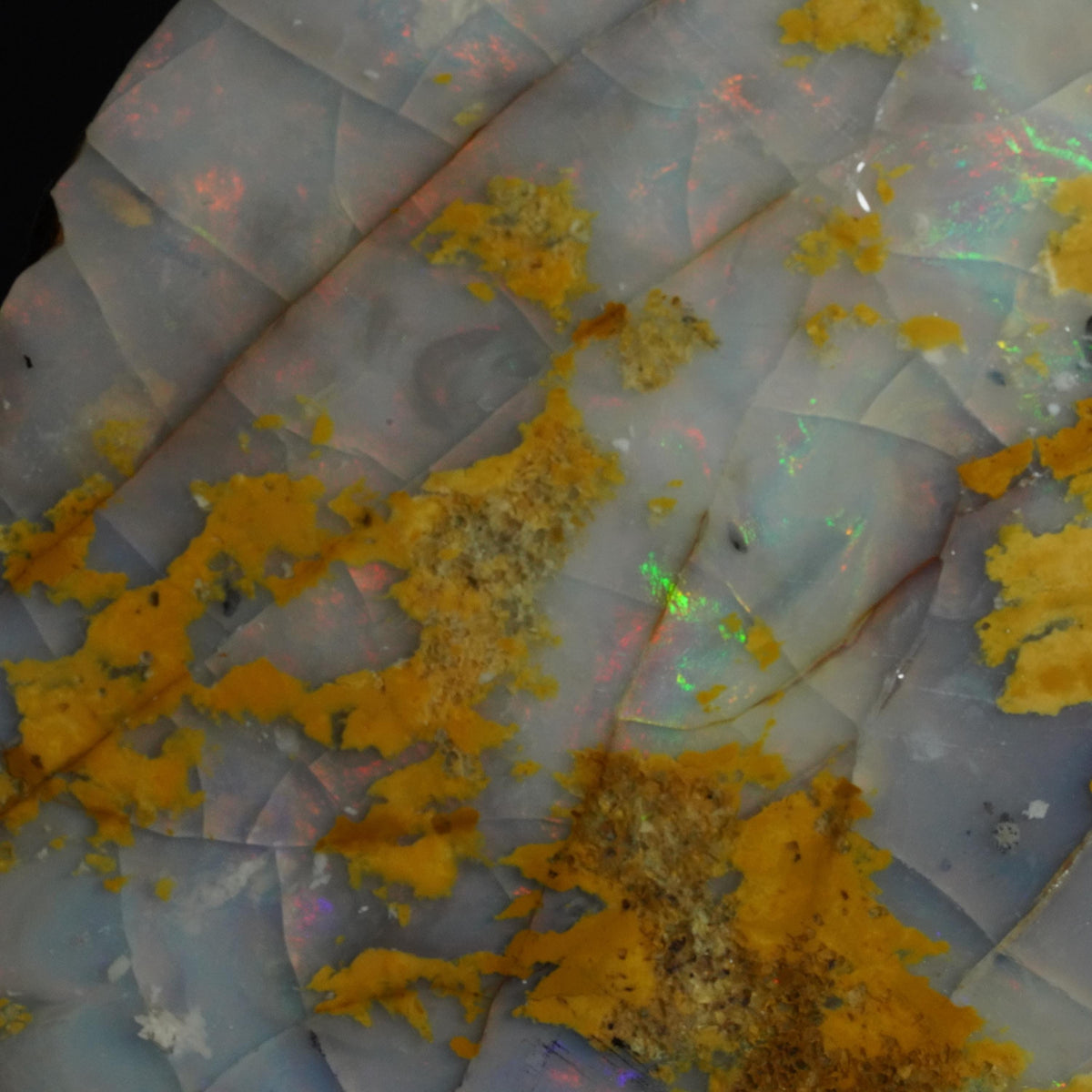 Mintabie Opal Specimen