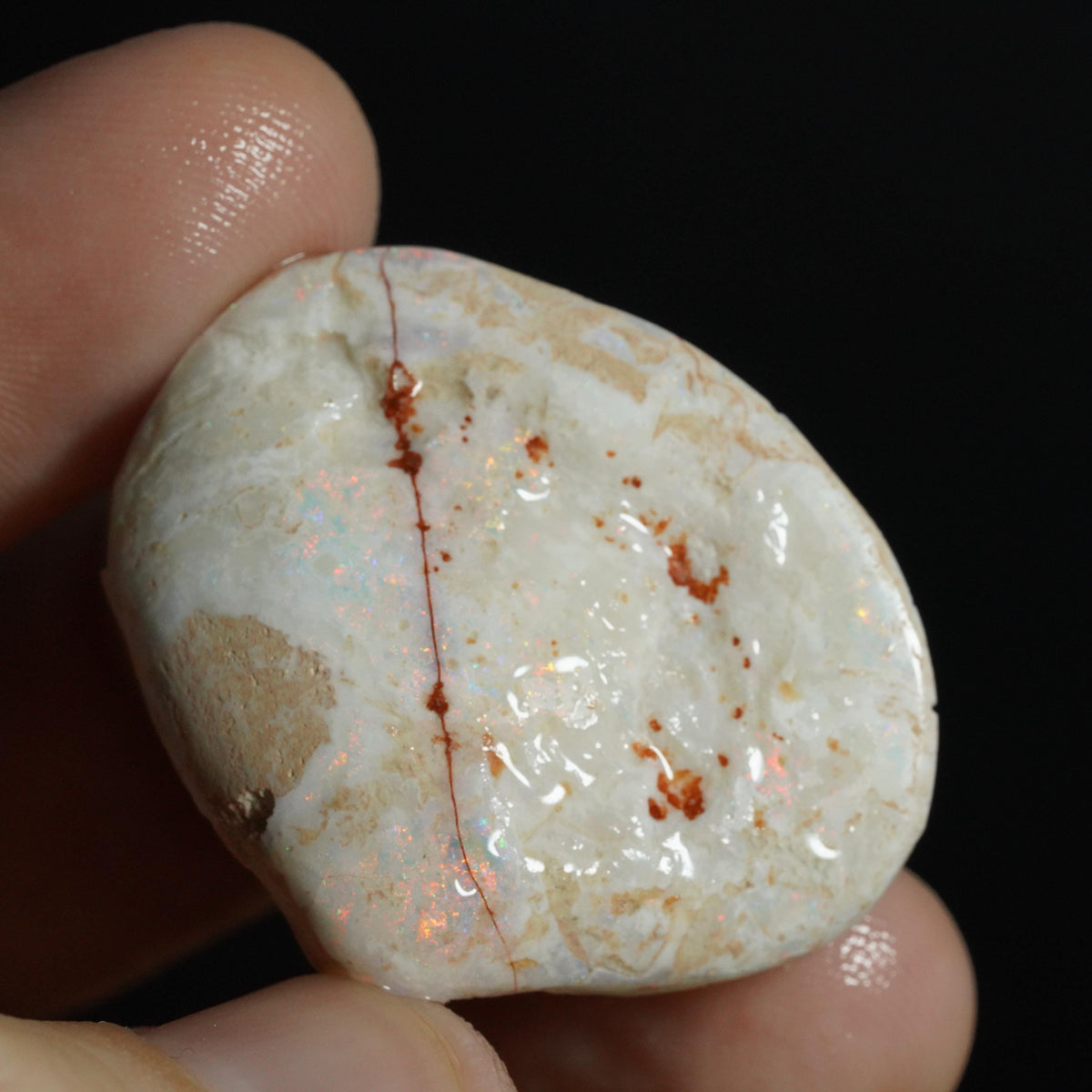 Opal Shell Fossil