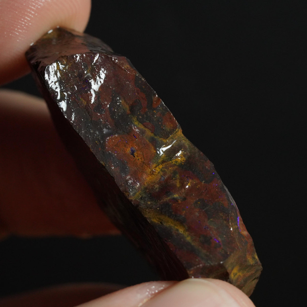 Boulder Opal Rough