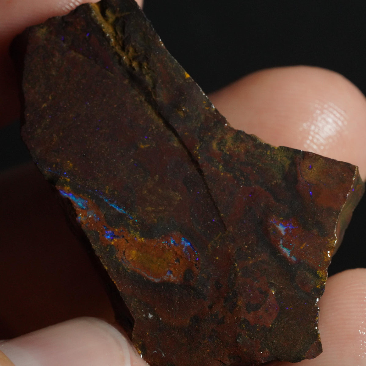 Boulder Opal Rough