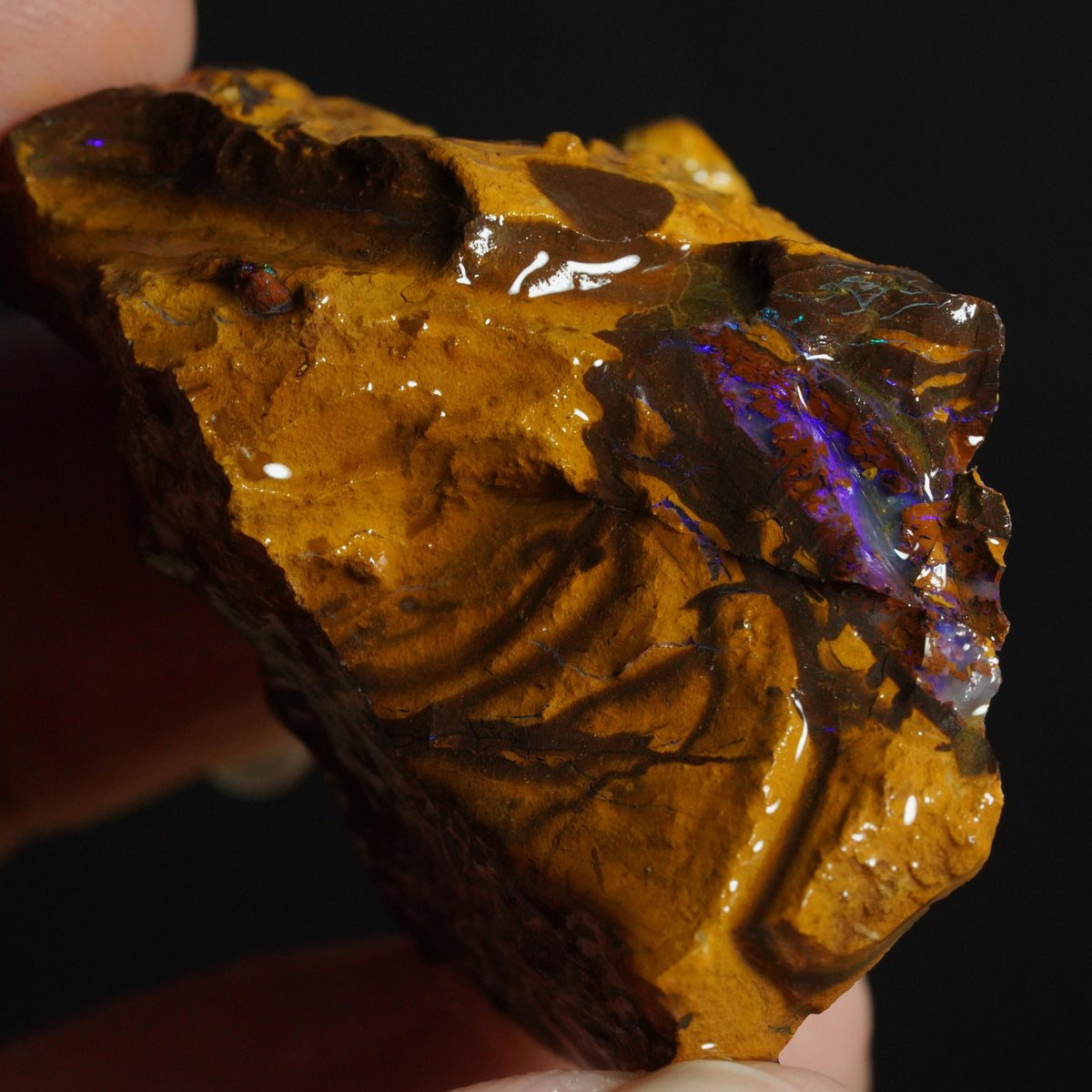 Boulder Opal Rough