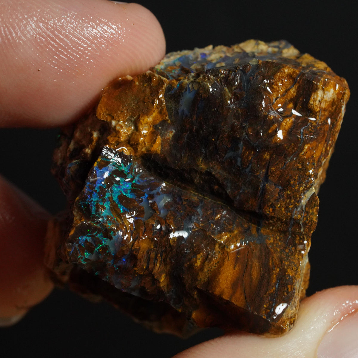 Boulder Opal Rough