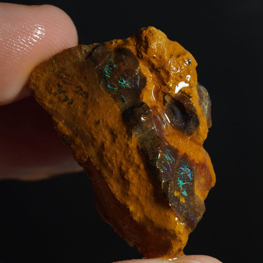 Boulder Opal Rough