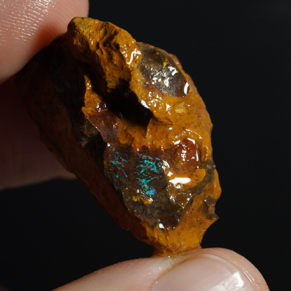 Boulder Opal Rough