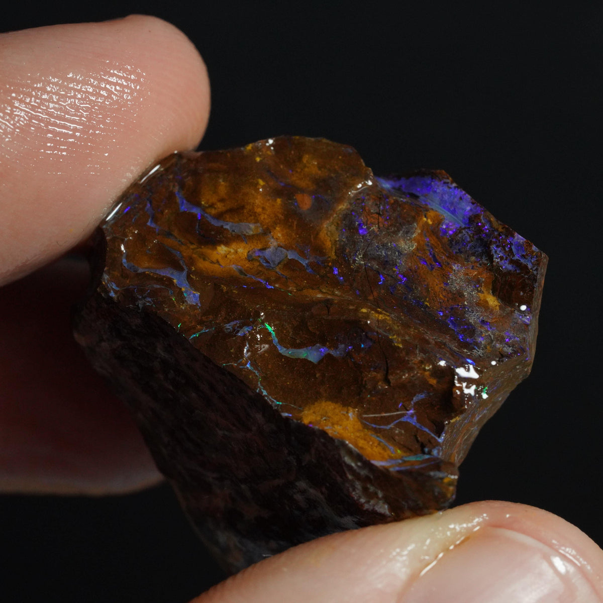 Boulder Opal Rough
