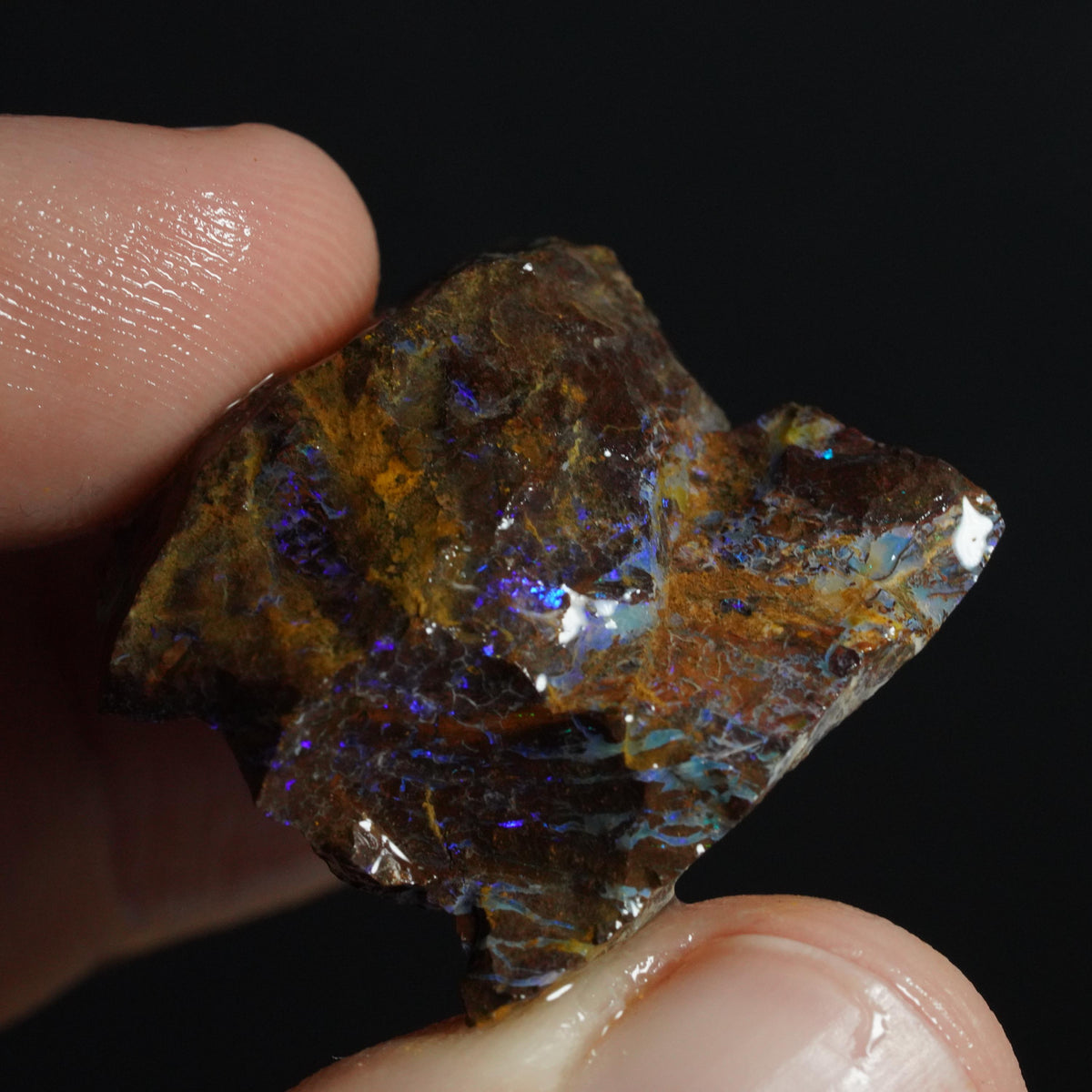 Boulder Opal Rough