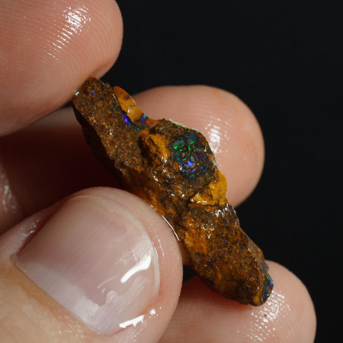 Boulder Opal Rough
