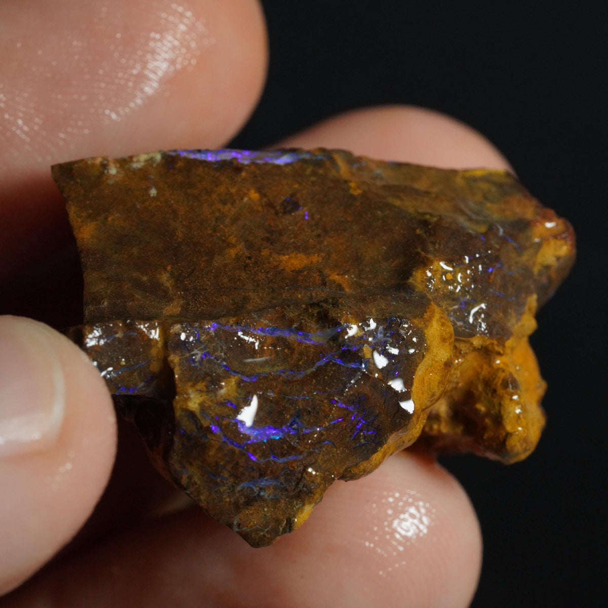 Boulder Opal Rough