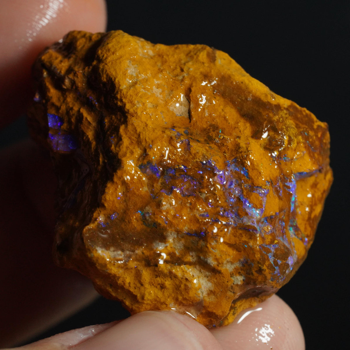 Boulder Opal Rough