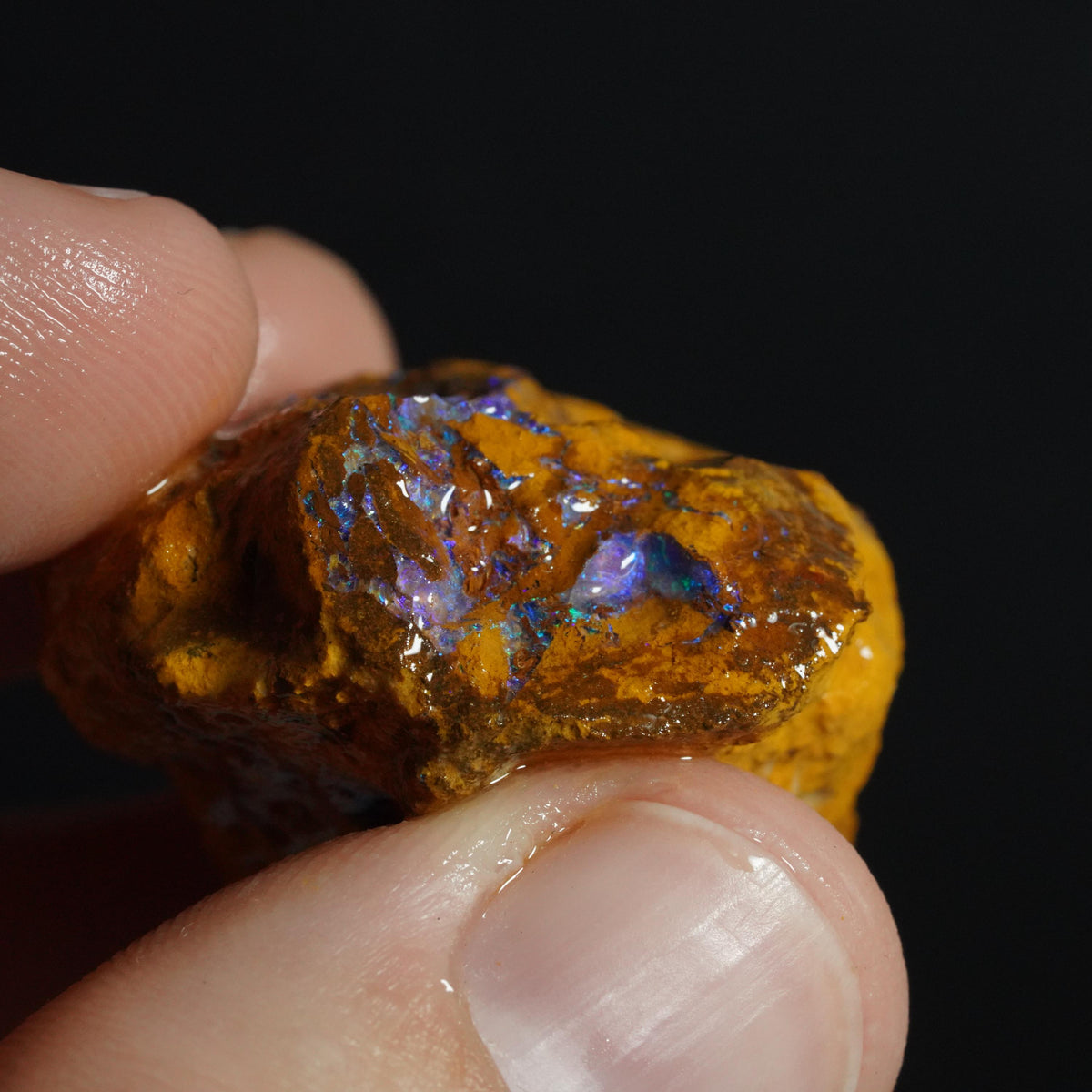 Boulder Opal Rough