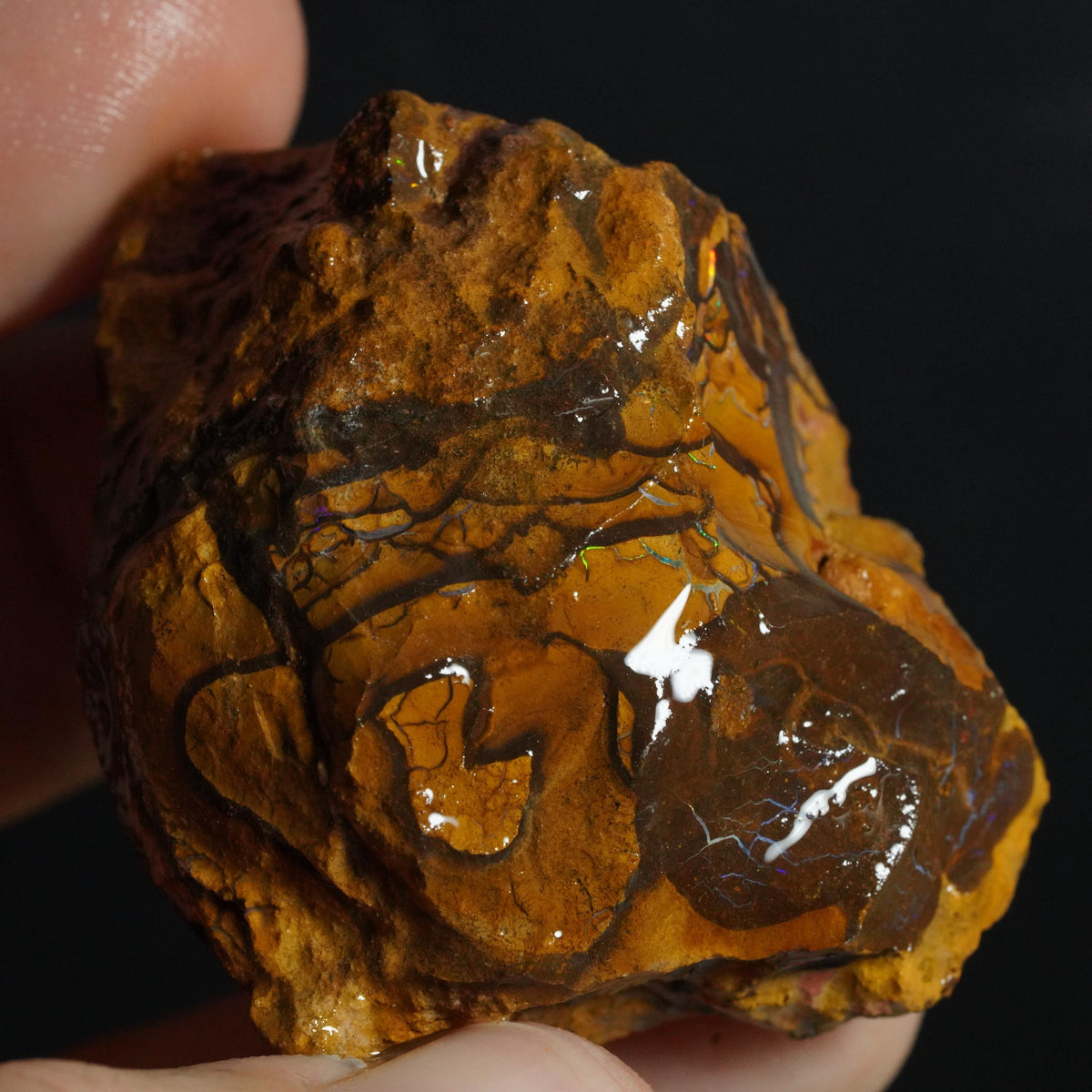 Boulder Opal Rough