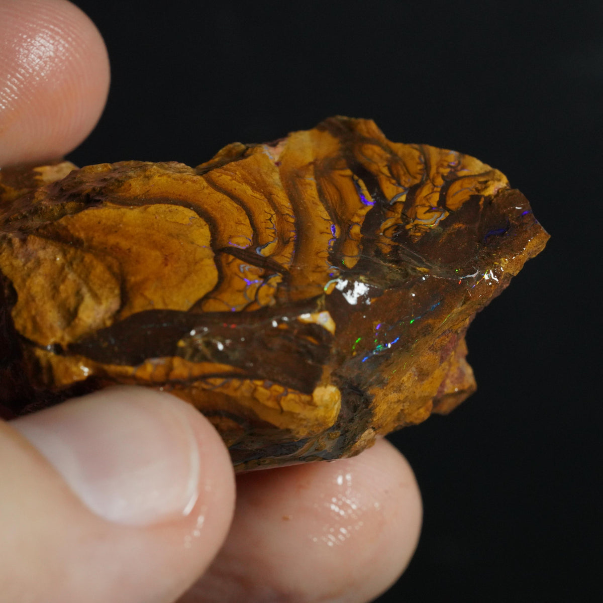 Boulder Opal Rough
