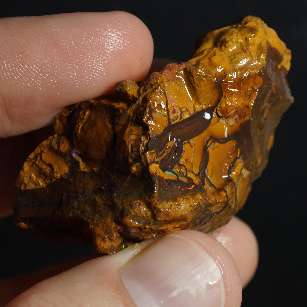 Boulder Opal Rough