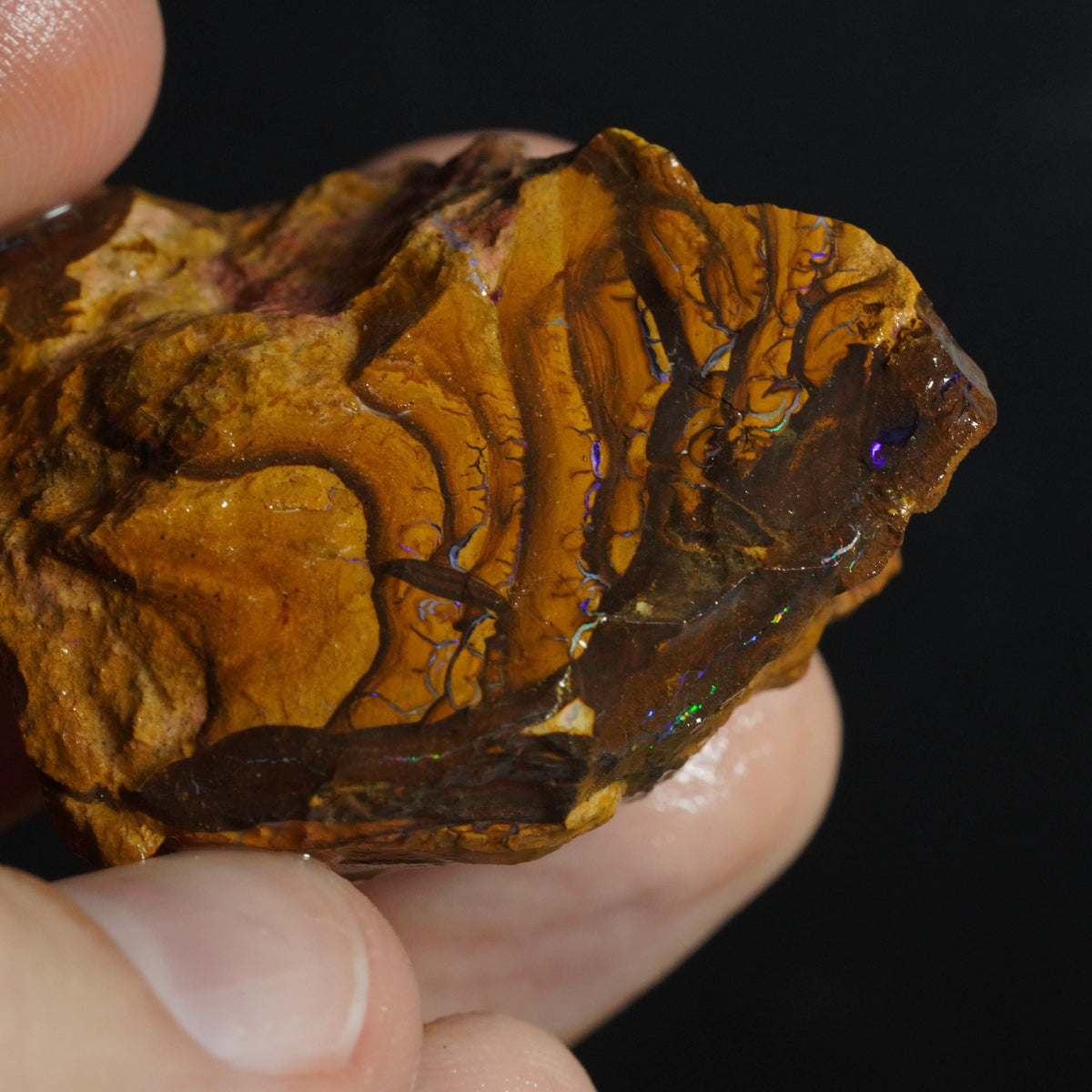 Boulder Opal Rough