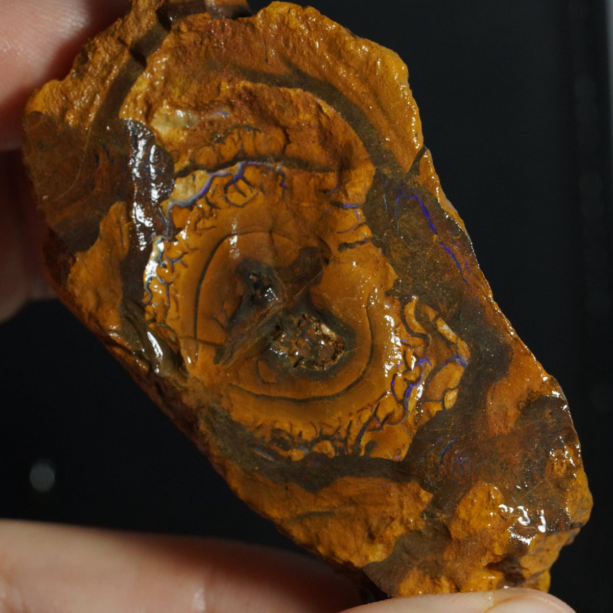 Boulder Opal Rough