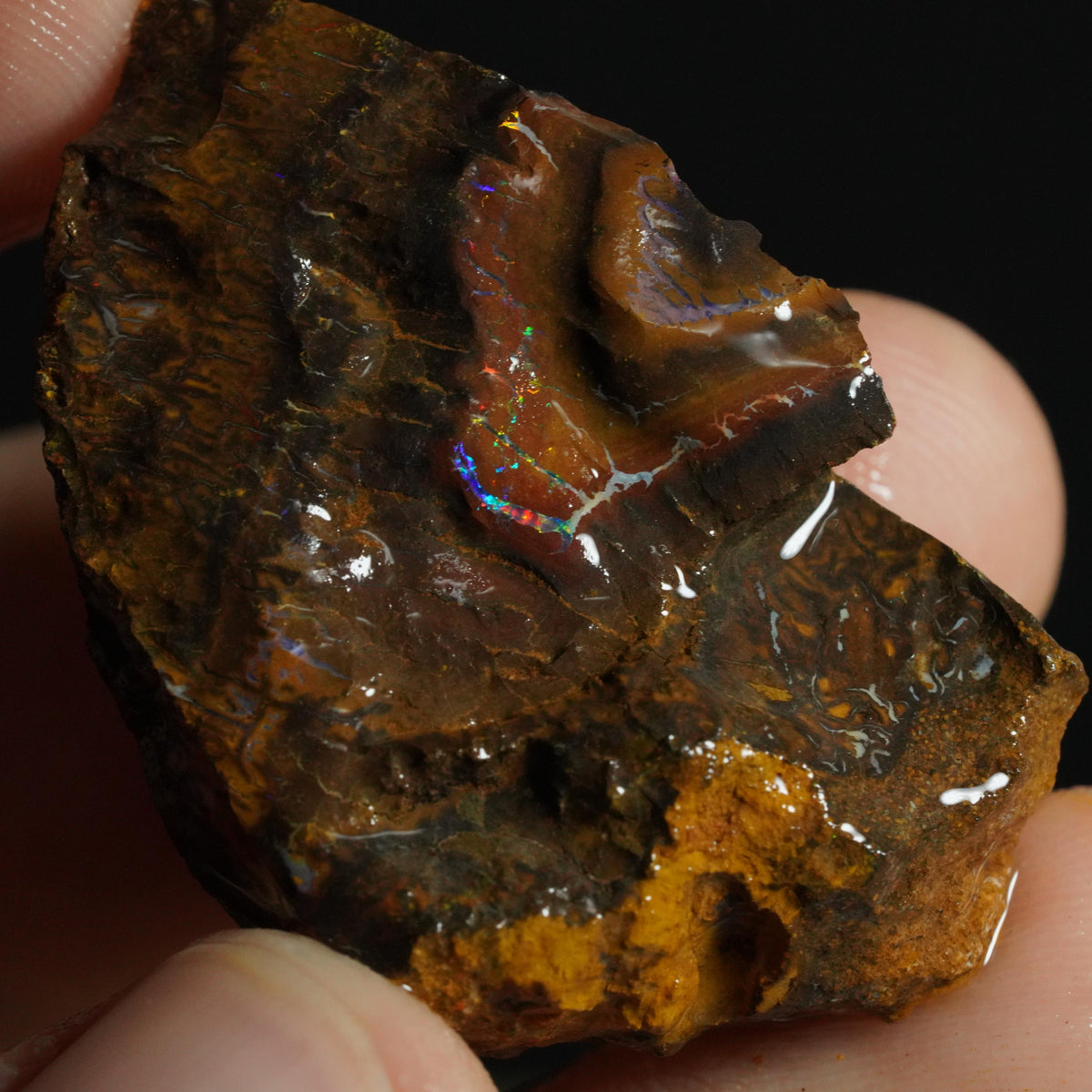 Boulder Opal Rough