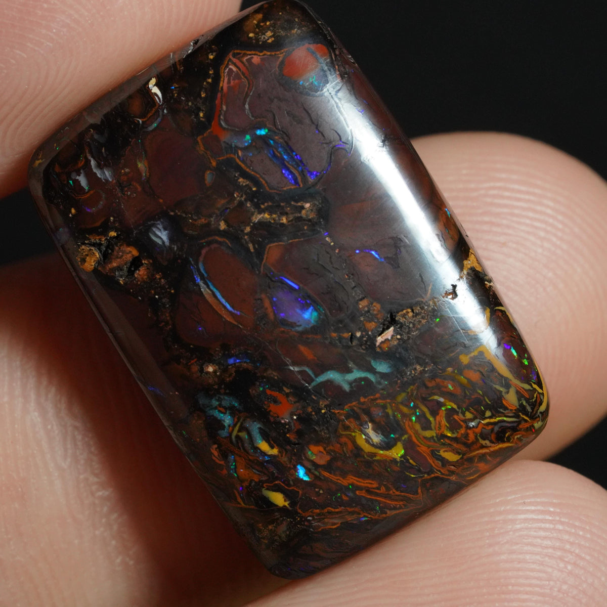 Boulder Opal Cut Stone