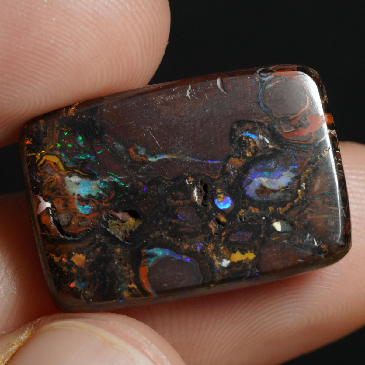 Boulder Opal Cut Stone