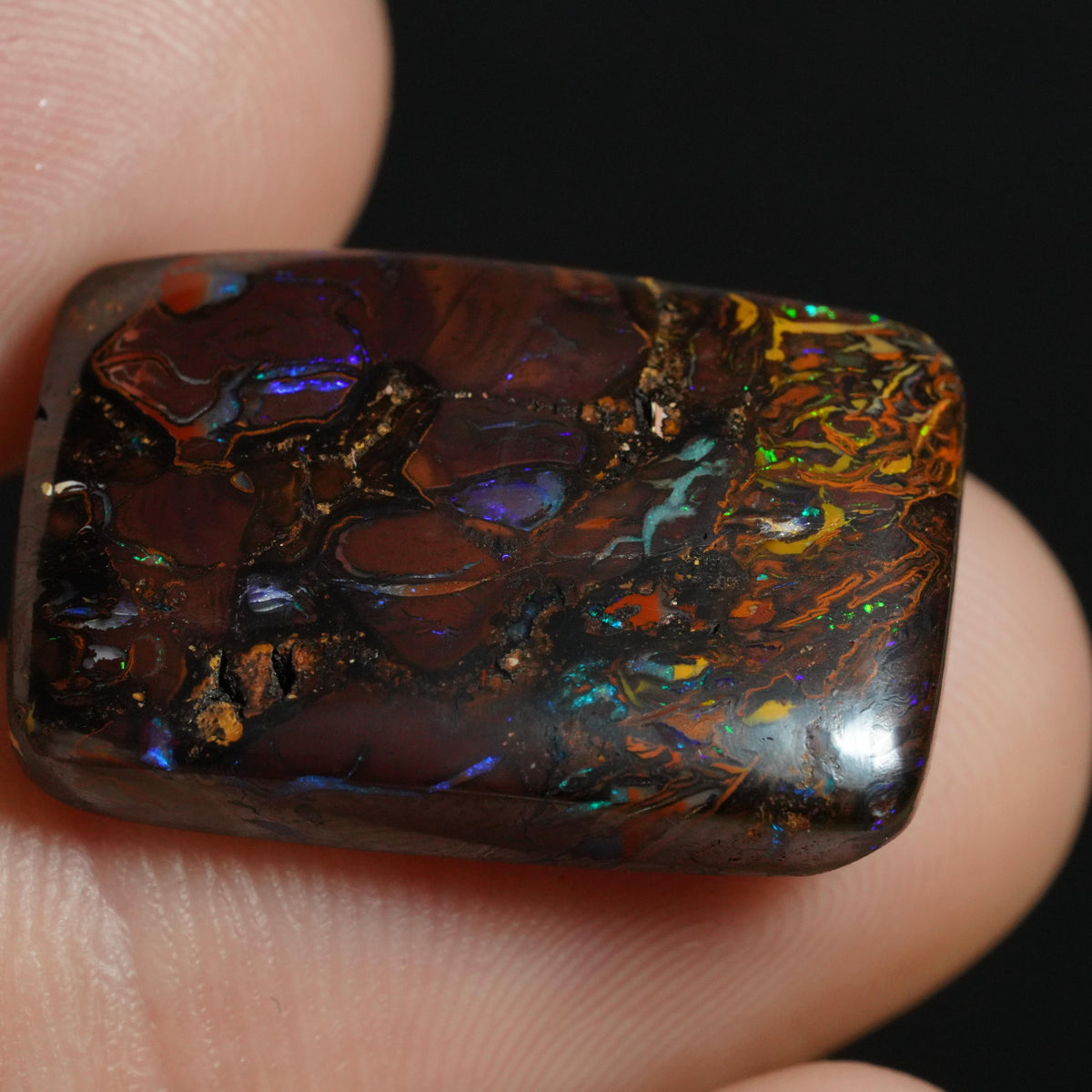 Boulder Opal Cut Stone