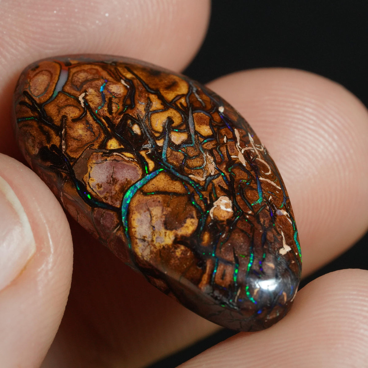 Boulder Opal Cut Stone